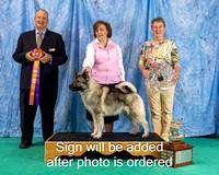 Dogshow 2024-06-30 NEINEA 2024 Win Photos--121219