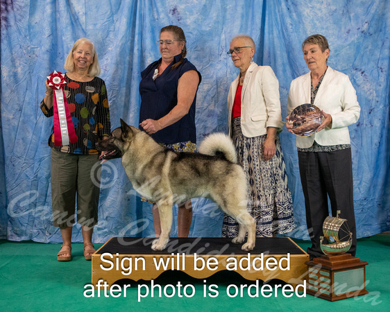 Dogshow 2024-06-29 NEINEA 2024 Win Photos--105720