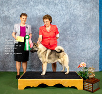 Dogshow 2022-07-03 NEINEA Win Photos --101243