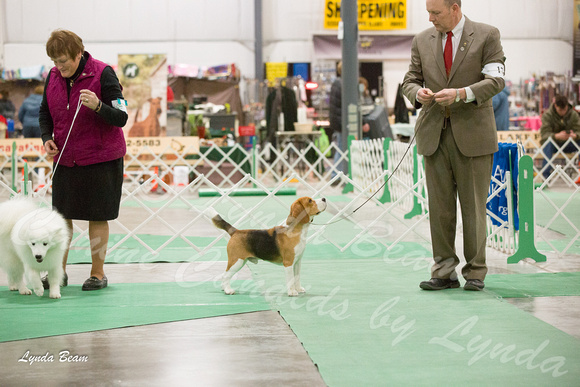 Dogshow 2016-01-29 Grayslake--184049