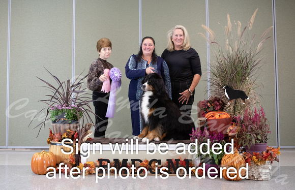 Dogshow 2024-10-26 BMDCNI Day 2--132503-2