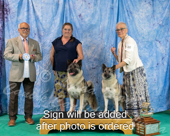 Dogshow 2024-06-29 NEINEA 2024 Win Photos--143052-3