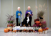 Dogshow 2024-10-26 BMDCNI Day 2--111354-2