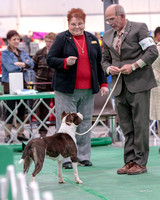 Dogshow 2018-01-25 Grayslake Day 1--161845