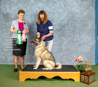 Dogshow 2022-07-03 NEINEA Win Photos --101902