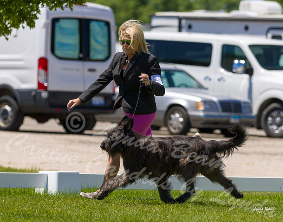Dogshow 2022-06-17 Northeastern Illinois Kennel Club--130020-3