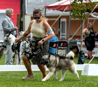 Dogshow 2022-08-01 Burlington WI KC--100756-2