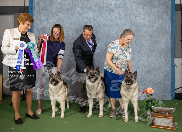 Dogshow 2022-07-03 NEINEA Win Photos --115531-2