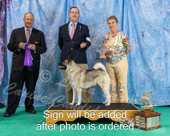 Dogshow 2024-06-30 NEINEA 2024 Win Photos--122241