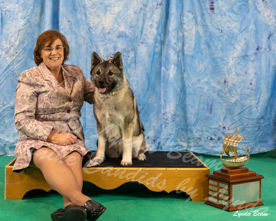 Dogshow 2024-06-29 NEINEA 2024 Win Photos--110901