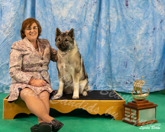 Dogshow 2024-06-29 NEINEA 2024 Win Photos--110903-2