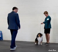 Dogshow 2025-03-01 2025 CSSC Candids --104333
