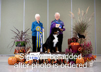 Dogshow 2024-10-26 BMDCNI Day 2--111354-3