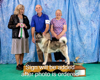 Dogshow 2024-06-30 NEINEA 2024 Win Photos--105543-2