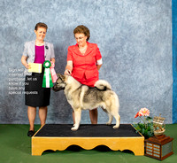 Dogshow 2022-07-03 NEINEA Win Photos --101243-2