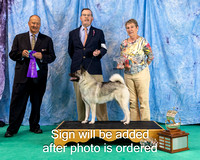 Dogshow 2024-06-30 NEINEA 2024 Win Photos--122242