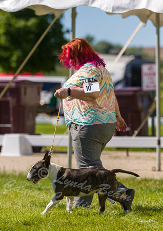 Dogshow 2022-06-17 Northeastern Illinois Kennel Club--153016-2