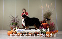 Dogshow 2024-10-26 BMDCNI Day 2--154048