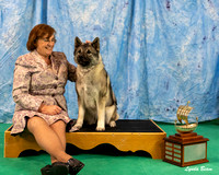 Dogshow 2024-06-29 NEINEA 2024 Win Photos--110903