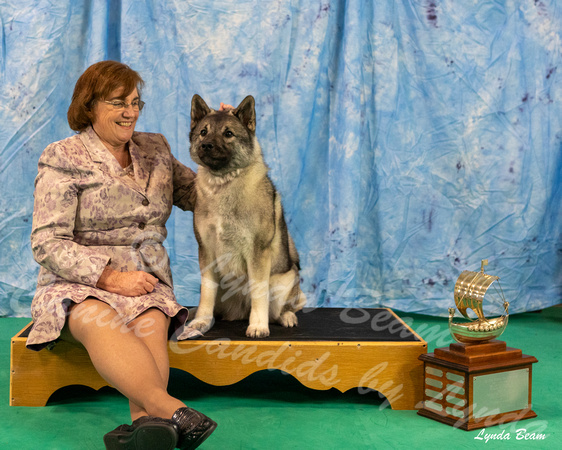 Dogshow 2024-06-29 NEINEA 2024 Win Photos--110903