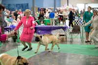 Dogshow 2016-06-18 Grayslake--111700-3