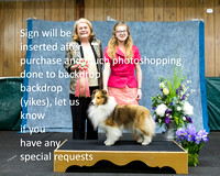 Dogshow 2022-04-09 ISSC Win Photos --125644