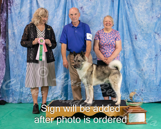 Dogshow 2024-06-30 NEINEA 2024 Win Photos--105515