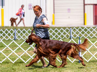 Dogshow 2022-07-30 Waukesha KC--112825-5