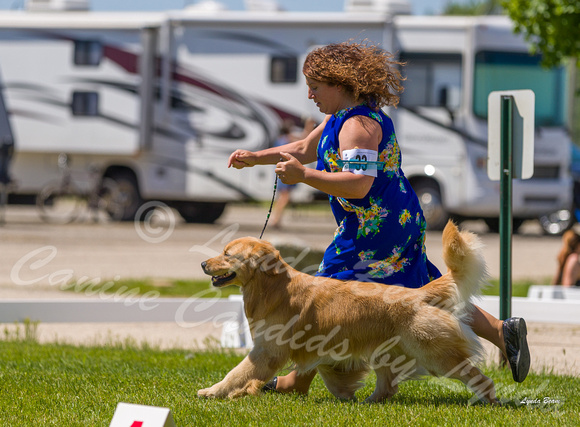 Dogshow 2022-06-17 Northeastern Illinois Kennel Club--133903-2