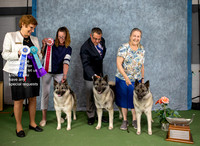 Dogshow 2022-07-03 NEINEA Win Photos --115532-2