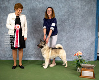 Dogshow 2022-07-03 NEINEA Win Photos --115736