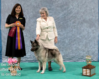 #27 GCHB Silhouettes Dark Knight