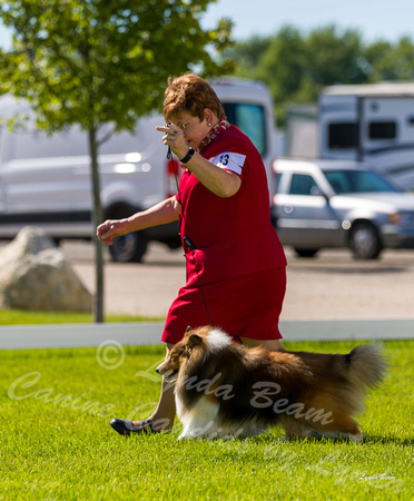Dogshow 2022-06-17 Northeastern Illinois Kennel Club--152920-5