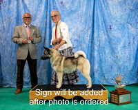 Dogshow 2024-06-29 NEINEA 2024 Win Photos--142641