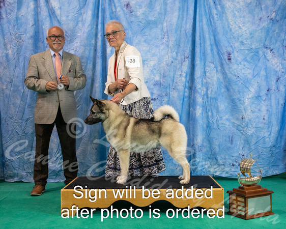 Dogshow 2024-06-29 NEINEA 2024 Win Photos--142641