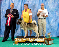 Dogshow 2024-06-30 NEINEA 2024 Win Photos--121636