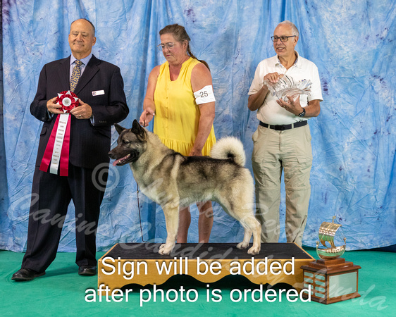 Dogshow 2024-06-30 NEINEA 2024 Win Photos--121636