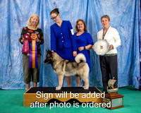 Dogshow 2024-06-29 NEINEA 2024 Win Photos--105502